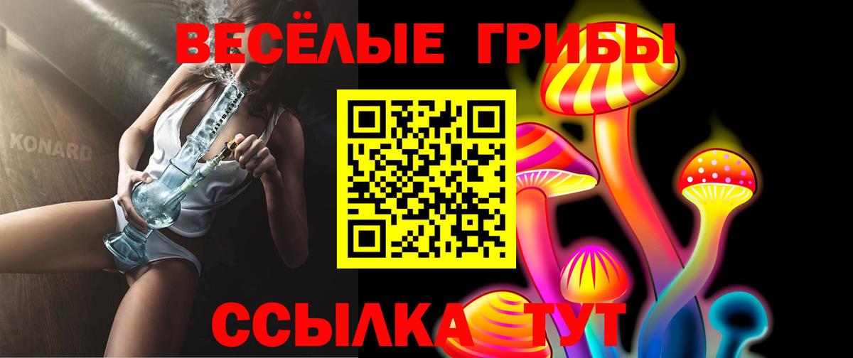 Королёв  Галлюциногенные грибы ЛСД  Вход с VPN 